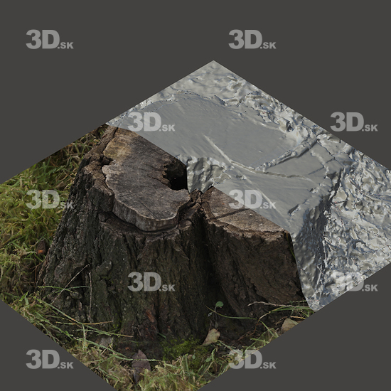 3D Scans