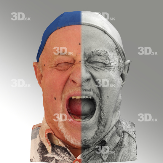 3D Scans