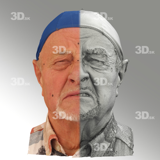 3D Scans