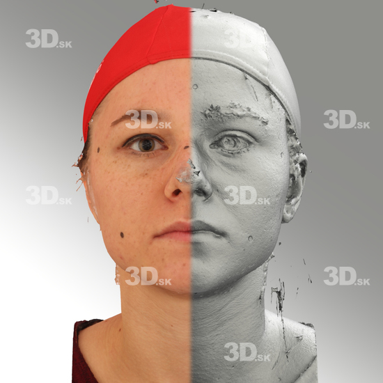 3D Scans