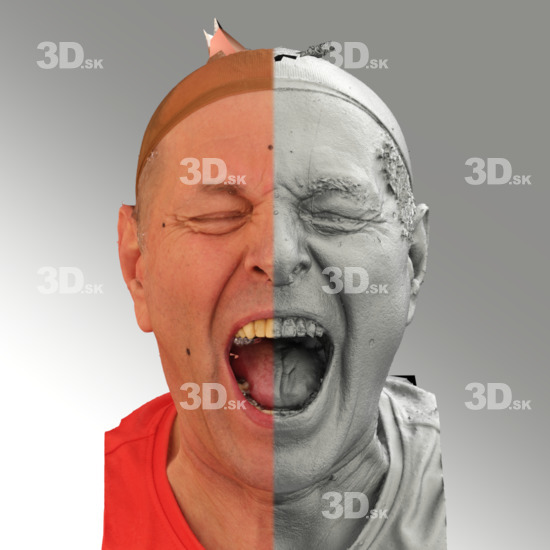 Head Man White 3D Scans