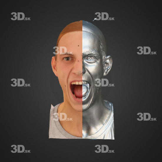 Head Emotions Man White 3D Phonemes And Emotions