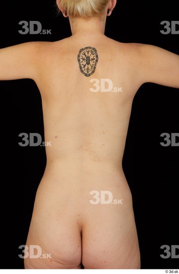 Upper Body Woman White Nude Average Studio photo references