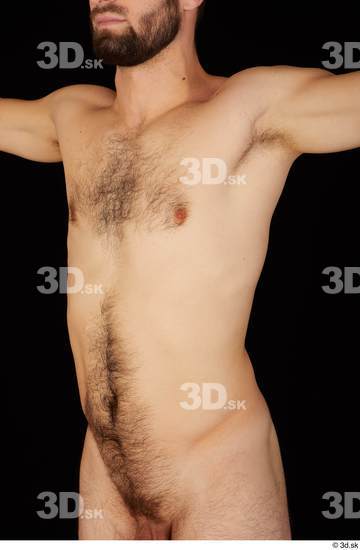 Chest Upper Body Man White Hairy Nude Slim Studio photo references