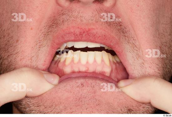 Teeth Man White Average Studio photo references