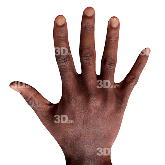 Hand Man Black 3D Retopologised Hands