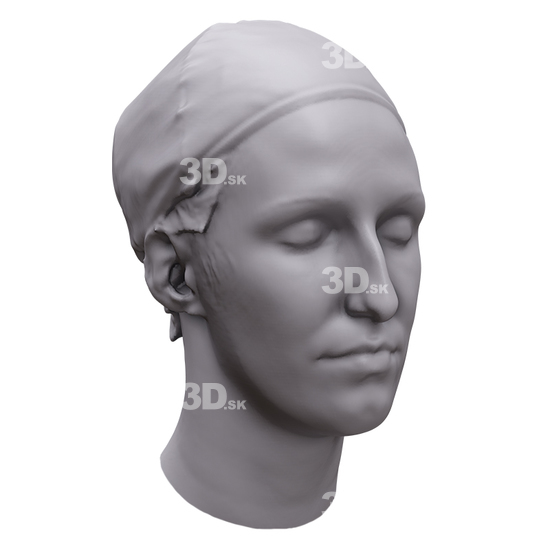 Head Woman White 3D Artec Heads