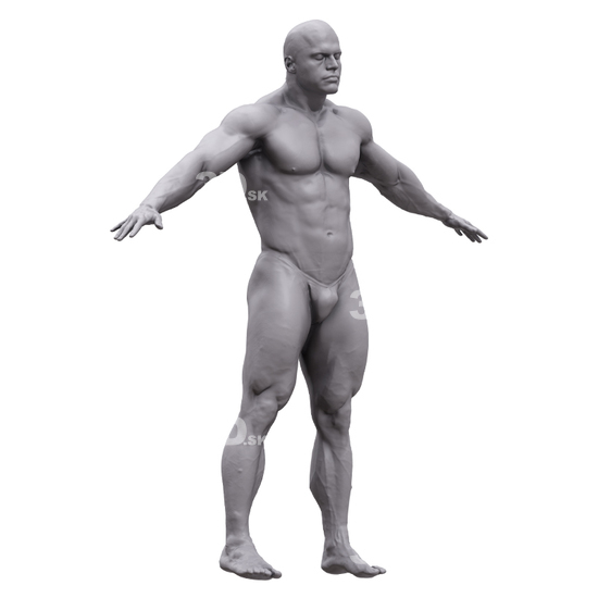 Whole Body Man 3D Artec Bodies Indian