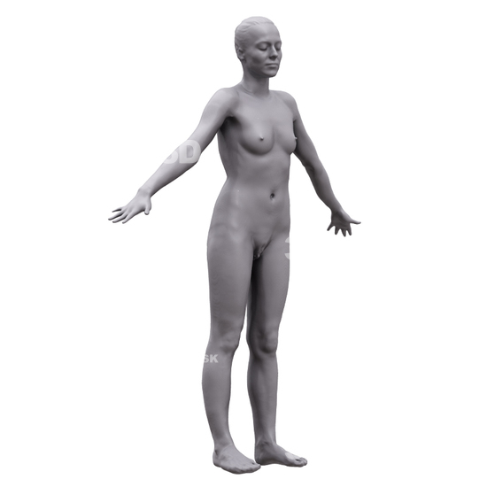 Whole Body Woman White 3D Artec Bodies