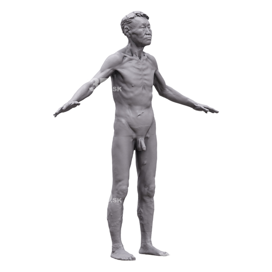 Whole Body Man Asian 3D Artec Bodies