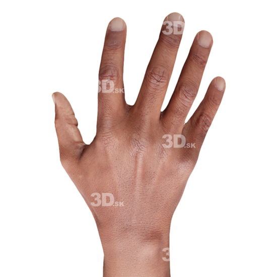 Man Black 3D Retopologised Hands