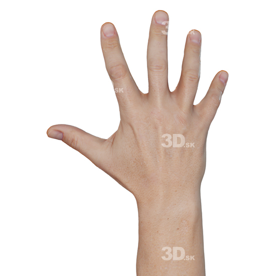 Hand Man White 3D Raw Hand Scans