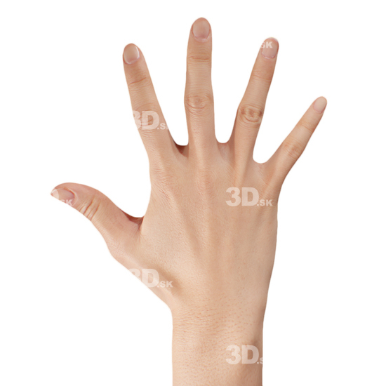 Hand Man White 3D Retopologised Hands