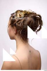 Groom references Figgy  006 brown long hair head 0003.jpg