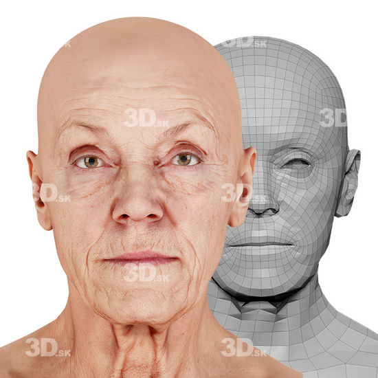 Retopologized 3D Head scan of Sophia Wilson