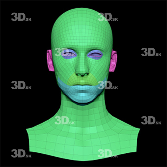 Retopologized 3D Head scan of Bryton main subdiv