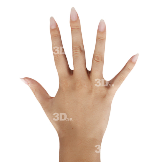 Hand Woman White 3D Retopologised Hands