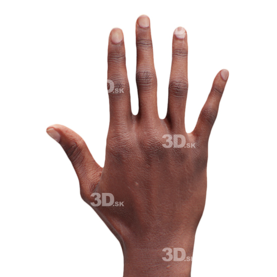 Hand Man Black 3D Retopologised Hands