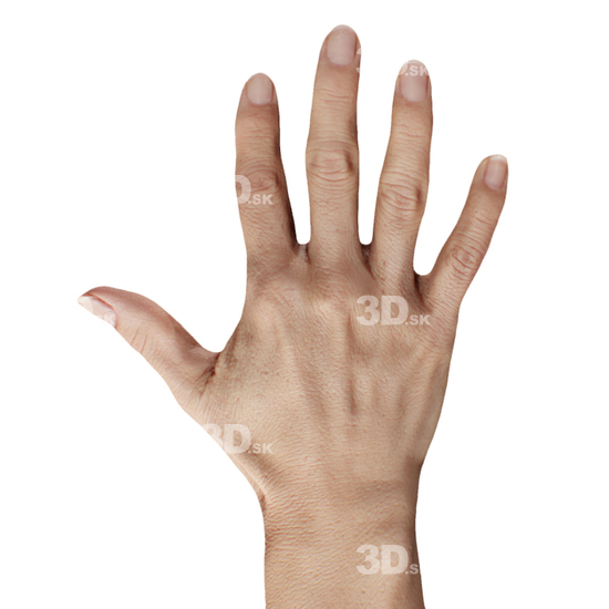 Hand Woman Asian 3D Retopologised Hands