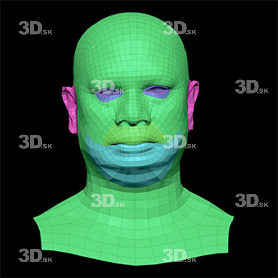 Retopologized 3D Head scan of Enoch Gorat main subdiv