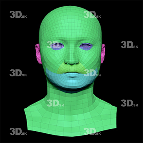 Retopologized 3D Head scan of Kawakami Nichiren main subdiv