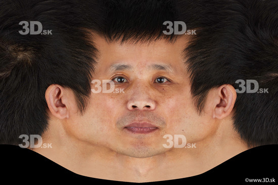 Shiba Tanzan head premade texture