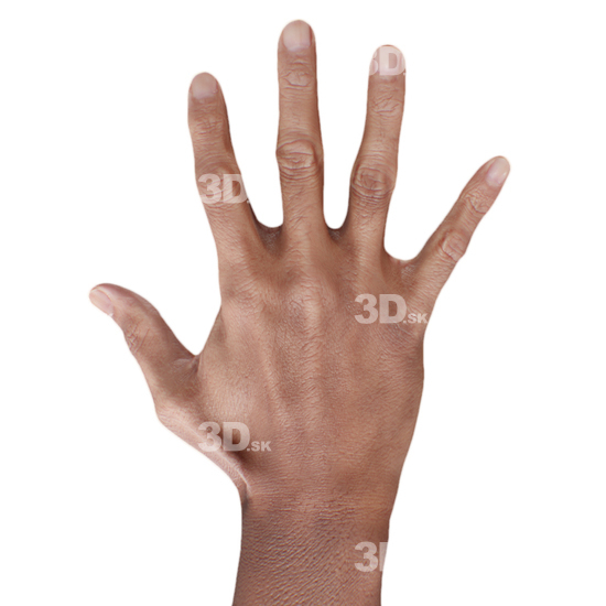 Hand Man 3D Retopologised Hands Indian