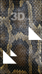 Snake
