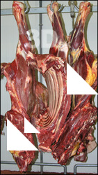 Meat