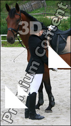 Horsewoman # 1
