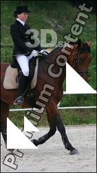Horsewoman # 2