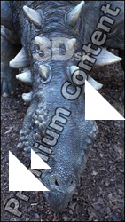 Sauropelta