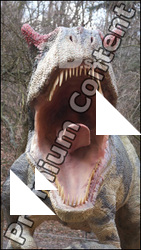 Allosaurus