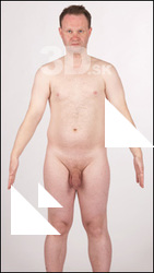 Herman