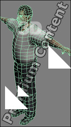 3D Model White Man # 27