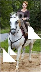 Horse poses # 5