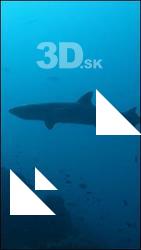 Shark # 1