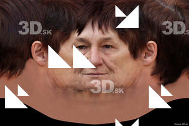 Female head texture