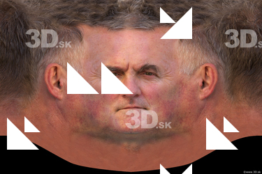 Female head texture
