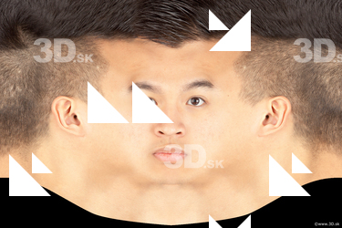Male head texture