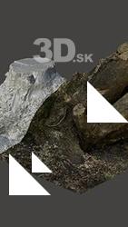 Stump Tree Base Enviroment Scan