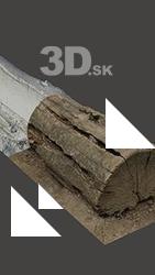 Stump Tree Base Enviroment Scan