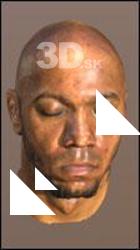 David 3D head scan # 147