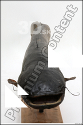  Catfish # 1 