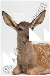  Doe # 1 