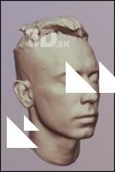 Man 3D scan of head 01