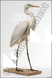  Stork # 2 