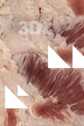 Photo Textures of Pork Meat