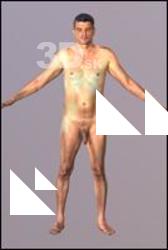 Kamil 3D Scan Nude Body