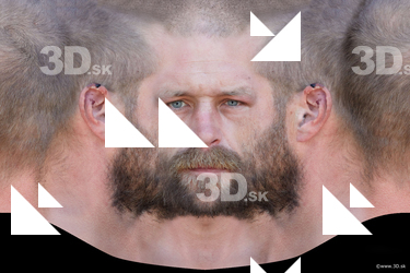 Male head texture